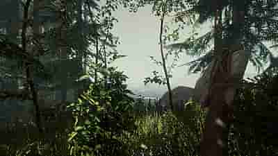 Gameplay screenshot of The Forest VR