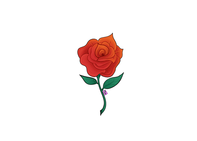 Rose illustration