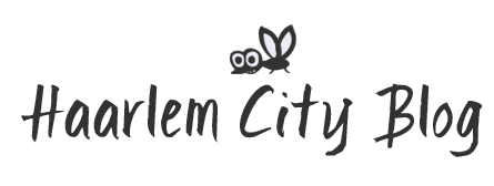 Haarlem City Blog logo